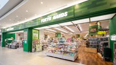 �A�N�A���C�X ���}�n���Y